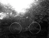 Anna Karin med en cykel. Anna Karin var dotter till fotografen Nannys syster Amy.