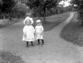 Två små barn i en trädgård eller park. Barnens anhöriga var troligtvis bekanta med fotografen.