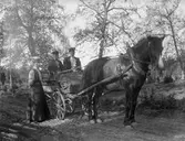 Grupp ute med häst och vagn. Personerna på bilden är troligtvis bekanta till fotografen Nanny Ekström.