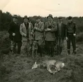 Ett jaktlag bestående av sex män och två hundar står bakom ett fällt rådjur, Kållered okänt årtal. Från vänster: 1. Hilding Johansson, Kålleredgården. 2. Karl Erik Persson (1919 - 2017). 3. Okänd. 4. Okänd. 5. David Bengtsson (1889 - 1977), Långåker. 6. Kjellman?.