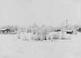 Vinterbild från Noraskog.