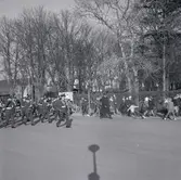 Finalen av militärövningen Ölandskriget. En militärparad.