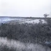 Skördeskadereportage. Vattenfylld åker.