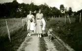 Systrarna Astrid (1907 - 1994, gift Jägerström, Råda) och Ingeborg Gustafsson (1901 - 1987, gift Johansson) promenerar på en landsväg tillsammans med en hund i koppel, Kållered Stom 