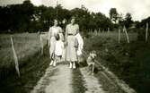 Systrarna Astrid (1907 - 1994, gift Jägerström, Råda) och Ingeborg Gustafsson (1901 - 1987, gift Johansson) promenerar på en landsväg tillsammans med en hund i koppel, Kållered Stom 