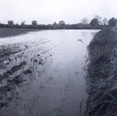 Skördeskadereportage. Vattenfylld åker.