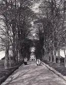 Allén till biskopsresidenset, Östrabo, ca 1900. En kvinna och två flickor är på väg nerför allén. Till vänster och höger 
skymtar man de rödmålade flyglarna till Östrabo.