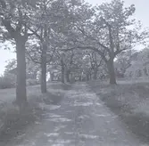 Prästgården sedd från allén.