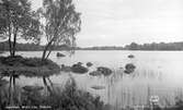 Torsjön ligger i utkanten av Ingelstads samhälle.