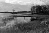 Lidhult, sjön Askaken, 1946.