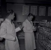 Två män i vita rockar i en konsumbutik.