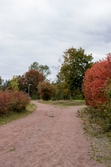 Grönområde samt motionsrunda runt Åby Fritidscentrum i Åby, Mölndal, den 11 oktober 2016. Vy mot väster.