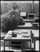 MÖBLER, VÄXTER, RUM MM.