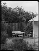 MÖBLER, VÄXTER, RUM MM.