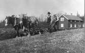 Höstplöjning. Småbrukarna i grannsocknarna hade ofta fasta kunder i staden, som de försåg med potatis, smör och ägg mm. Foto från Toarp omkring år 1910.