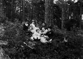 I skogen vid Annelund på 1890-talet.