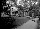 Gårdssidan vid villa Annelund år 1921.