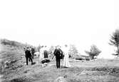 Picknick på Bornö utanför Lysekil år 1903.