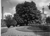 Bryggarparken (nuvarande Anna Lindhs park) med Viskabergs Fabriks AB t.h.år 1924.