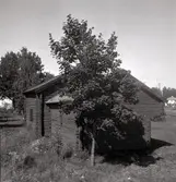 Foton från Misterhults hembygdsgård.