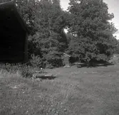 Drängstugan på Regnellsgården i Bankhult.