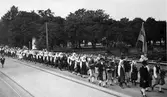Hembygdsföreningen Westergyllen. På marsch i Malmö den 28/7 år 1927.