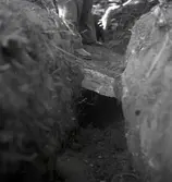 Vikingagrav påträffad vid småskolan i Resmo.