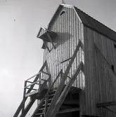 En av Ölands större kvarnar med dubbla bakstöttor och dubbla eller kanske tredubbla stöttor till stubben.