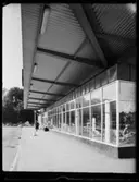 FASADER I MIDSOMMARKRANSEN, NÄSBY PARK, JAKOBSBERG, SAS