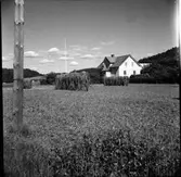 Höhässjor på Telnebacka Västers i Veddige en solig sommardag. Utsikt mot Ry.