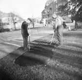 Två trädgårdsmästare krattar i en rabatt vid Nybron.