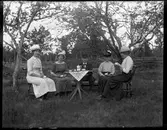 Okända runt trädgårdsbord