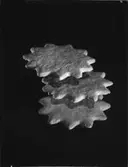 PEPPARKAKOR FÖR ETIKETT