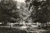 Järnvägsparken i Ljungby, 1927.