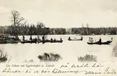 Sjön Stråken med Ugglehults gård, pr Lamhult, (Aneboda sn), ca 1905. Flera ekor är ute på sjön.