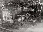 Kaffedrickande på en stadsinnergård i skuggan under en kastanj. I förgrunden sitter barn på en upphöjd gräsyta. Plank sträcker sig från husknuten.