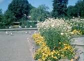 Kalmar stadspark med slottet till vänster utanför bild.