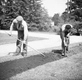 Två trädgårdsmästare utför trädgårdsskötsel i en rabatt.