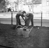 Två trädgårdsmästare med vattenkannor.