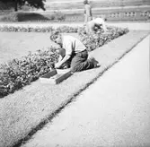 Trädgårdsmästare planterar växter i Stadsparken.