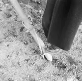 Sparreholmsax, verktyg för resning av stolpar.