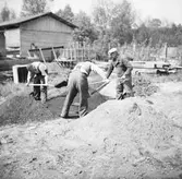 Tre personer skyfflar jord.