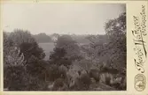 Oskarshamn från berget i Norrby brunnspark. I bildens mitt syns Fredriksbergs herrgård och till höger bortom denna tornet till Orskarshamns stads kyrka, uppförd 1876.