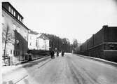 Katrinedalsgatan med kvarteret Mandelblomman t.v. år 1946.