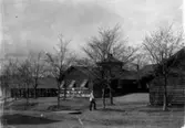 Kungliga Älvsborgs regemente på Fristad Hed, slutet av 1800-talet. Kokhus och matsal.