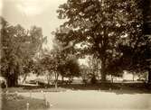 Parken vid Evedals värdshus, mot ångbåtsbryggan. Ca. 1910-tal.