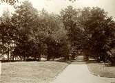 Parken vid Evedals värdshus. Ca. 1910-tal.