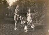 Sommarbild från Villa Björckås trädgård. Fotografi taget i juni 1930. Ulla och Bibbi med sina dockor. Ulla lekte med dockor till hon var 15 år.

Numera har fastigheten adressen Frölundagatan 25 B i Åby, Mölndal.