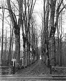 ALLÃ‰ I GRÄFSNÄS SLOTTSPARK, KORSNINGEN MED VGJ.


Tillv.tid: 1890-1900
Övriga nr: 180
Repro nr: 
Registrator: LH

RealNr: 367     Motiv_spec: ALLÃ‰

Proviens
Kod: 10
Yrke: FOTOGRAFNamn: VICTORIN CARL
Land: 
Län: 16
Kommun: 
Stad: JÄRPÅS
By: 
Gård: 
Fastighet: 
Adress: 


Proviens
Kod: 21
Yrke: Namn: GRÄFSNÄS SLOTTSPARK
Land: 
Län: 15
Kommun: 
Stad: ERSKA
By: 
Gård: GRÄFSNÄS
Fastighet: 
Adress: