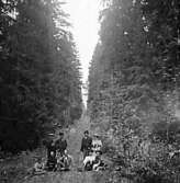 Tillv.tid: 1890-1905
Övriga nr: